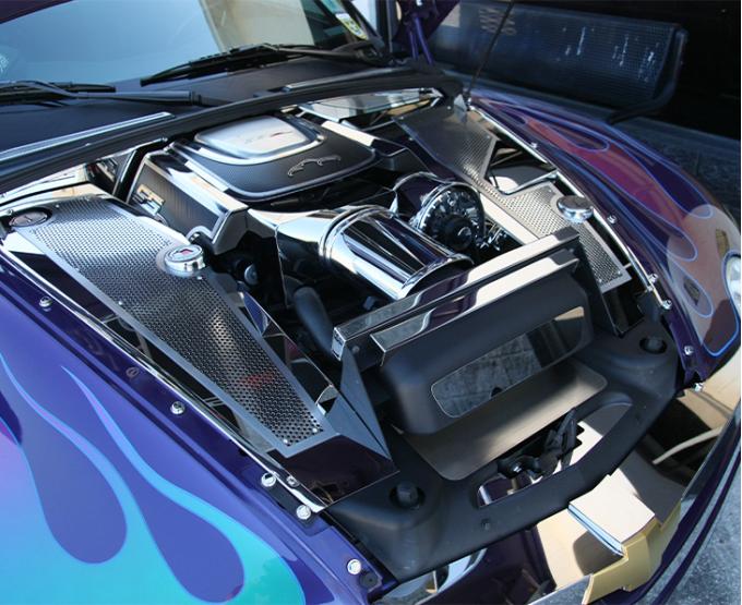 American Car Craft SSR Fuel Rail Covers Carbon Fiber Deluxe 03-04 513017