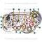 Lectric Limited 1955-1959 Chevrolet Classic Update Series Wiring Harness System 500481