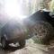 BFGoodrich BFG All-Terrain T/A KO2 Tire LT235/85R16/E 700872