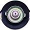 Lares Filler Cap/Dipstick for 20337 Reservoir 287