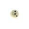 AMD Window Regulator Roller & Rivet, 74-91 Chevy GMC Truck X547-4074-1