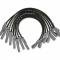 MSD Ford Raptor 6.2L V8 Black Wire Set 31633
