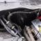 Vintage Air 1982-92 Chevrolet Camaro with Factory Air Gen 5 SureFit™ Evaporator Kit 565706
