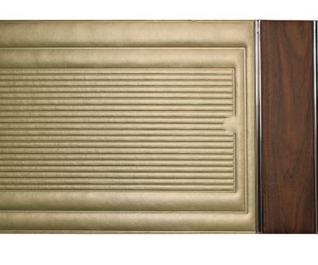 Distinctive Industries 1967 Fairlane 500 & Ranchero Front Door Panels 100746