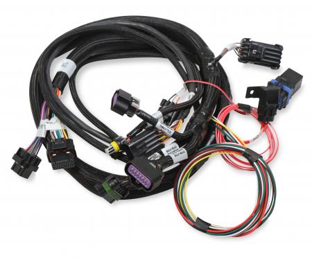 Holley EFI Terminator Stealth 2x4 MAIN HARNESS 558-121