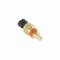 Holley EFI Coolant Temperature Sensor 534-10