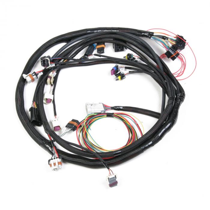 Holley Main Wiring Harness LS2 & LS3 Holley Main Wiring Harness LS2 & LS3