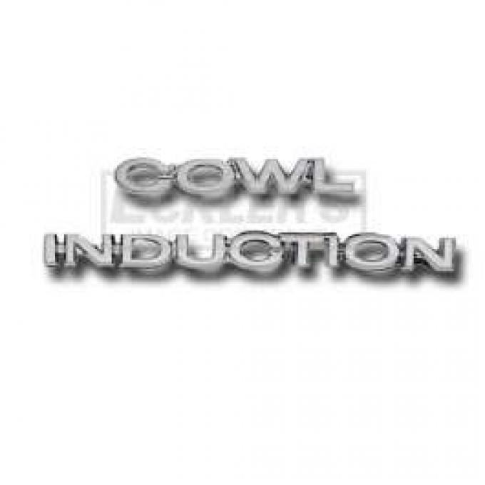 Chevy Or GMC Truck Cowl Induction Hood Emblems