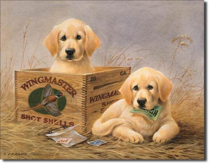 Tin Sign, KAATZ - Wingmasters