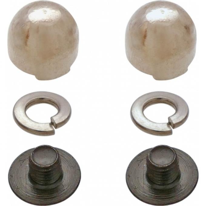 License Plate Bolts