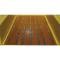 Chevy Truck Bed Strips, Stainless Steel, Polished, Long Bed, Fleet Side, 1958-1959