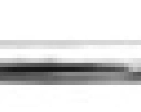 Dynacorn Grille Lower Moulding 83-88 M1117