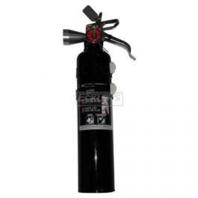 Fire Extinguisher, H3R Halguard, Black, 2.5 Lb.