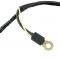 Dennis Carpenter Alternator to Voltage Regulator Harness - 1965-66 Ford Truck     C5TZ-14305-AV