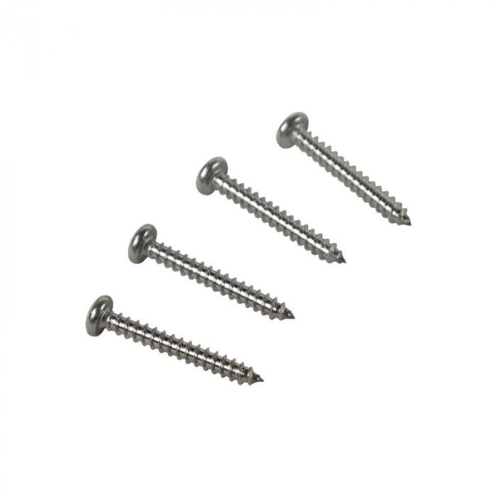 Dennis Carpenter Taillight Lens Screw Kit - 1964-72 Ford Truck