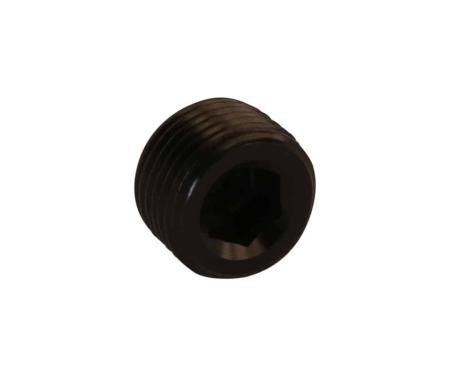 Aeromotive 3/8&rdquo; NPT Plug Fitting 15729