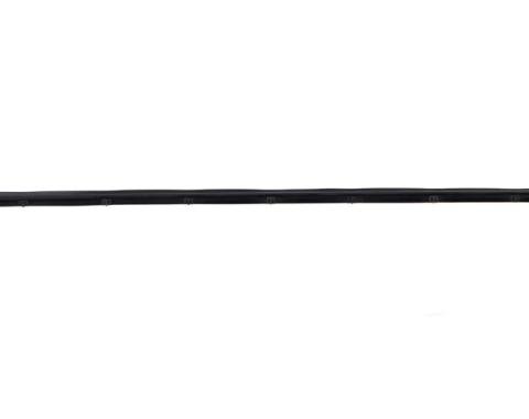 AMD Outer Tailgate Window Seal, 73-91 Blazer Jimmy with Removable Hardtop 661-4373-2