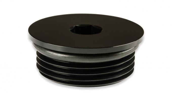 Earl's an Port Plug, Allen Head AT981316ERL