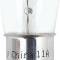 Replacement Bulb B-6 Double Contact Bayonet 15 CP